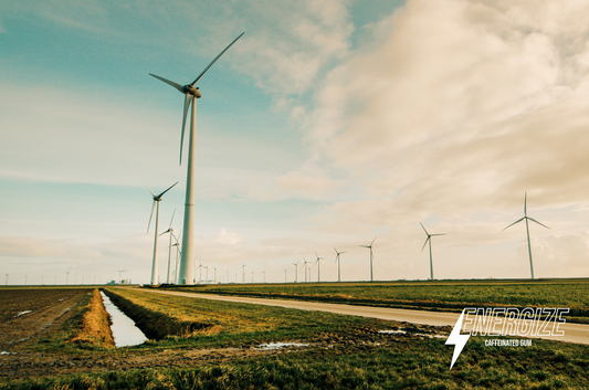 Fighting Fatigue: How to Regain Your Energy and Focus